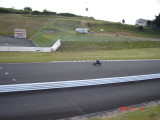 img0290.jpg