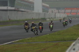 img0124.jpg