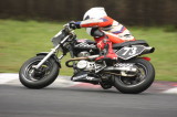 img0229.jpg
