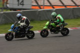 img0096.jpg