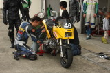img0115.jpg