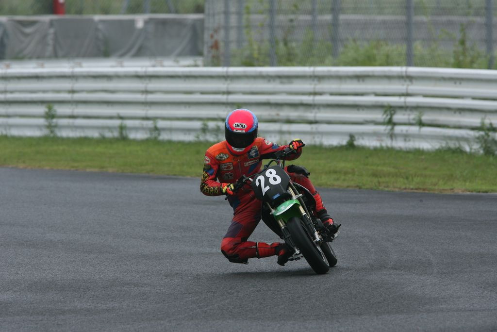 img0137.jpg