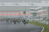 img0051.jpg