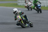 img0131.jpg