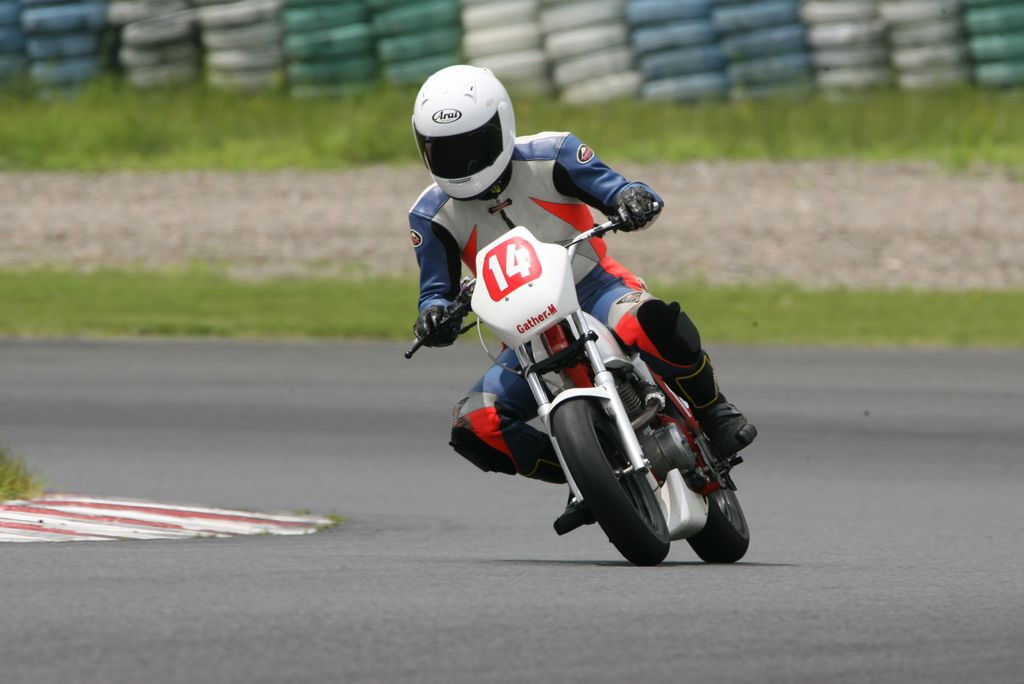 img0290.jpg