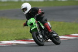 img0101.jpg