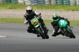 img0217.jpg