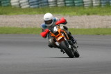 img0291.jpg