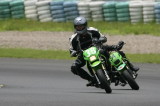 img0293.jpg