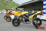 img0227.jpg
