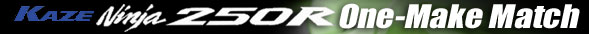 KAZE Ninja250R One-Make Match